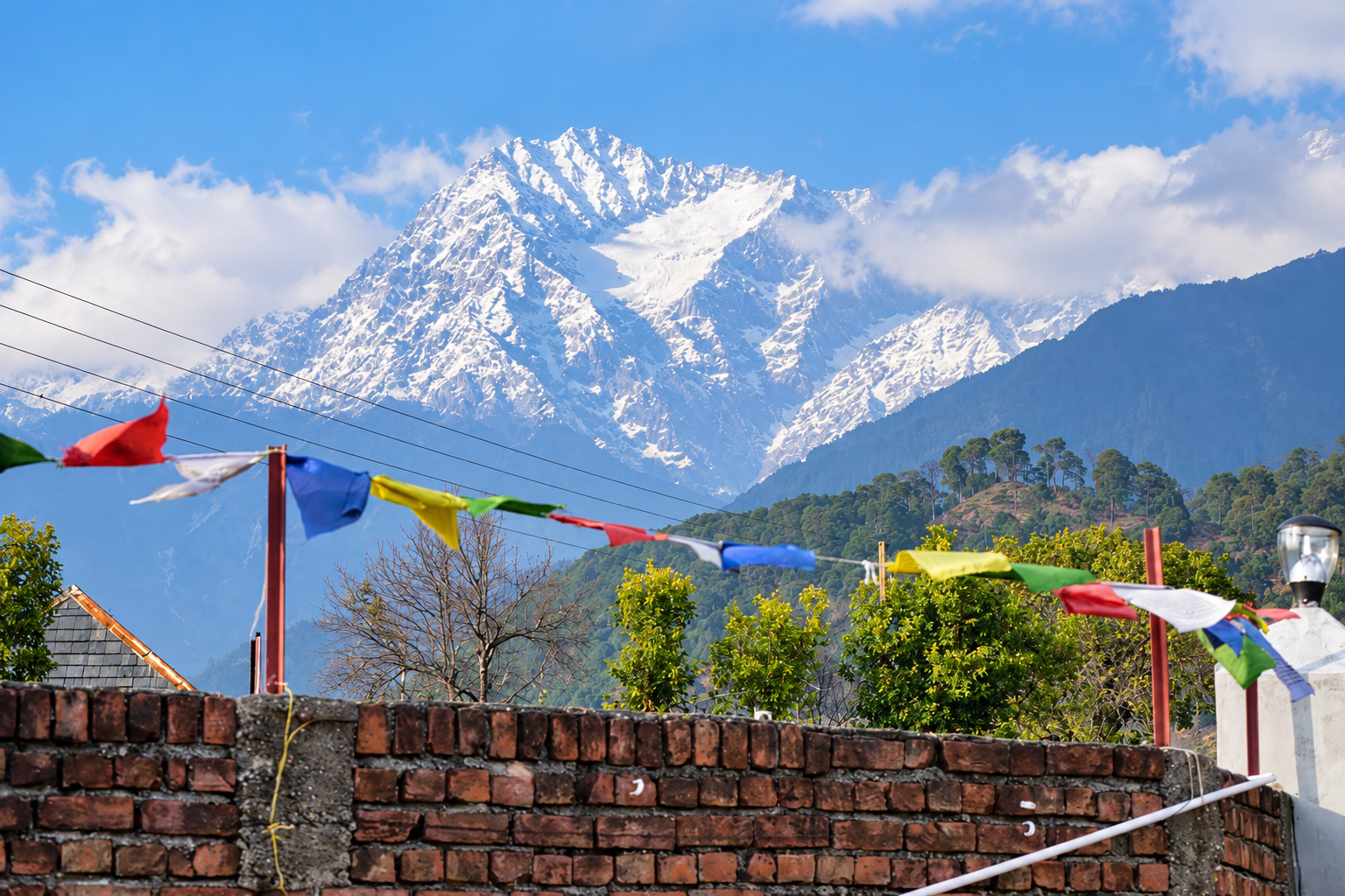 The Stone House Cottage, a homestay in Palampur, Himachal Pradesh