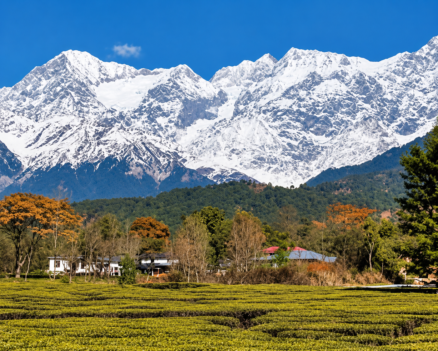 Cottage stay in Palampur, a stone cottage with a big garden